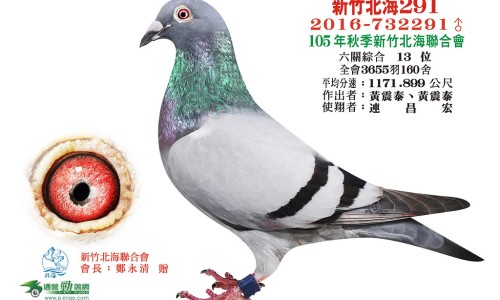 银黄颗粒说明书西安博爱网- 银黄颗粒的使用方法知识,分享银黄颗粒使用方法